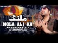 Malang Hon Mola Ali Ka Shahriyar Ali New Qasida New Qasida 2024 Saraiki Qasida