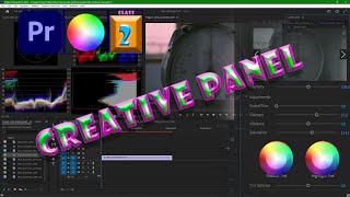 Creative Panel | Class 2 | Full Detail | Luts | Premeire Pro | Learn Adobe