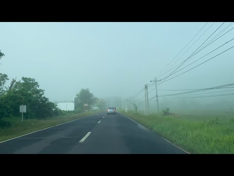 VLOG 127 - I was expecting a manic Monday