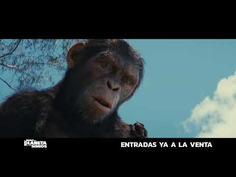 Anuncio: 'Más inteligentes'