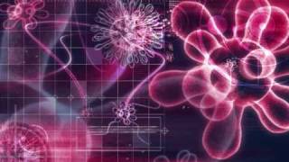 John Tejada - At The End Of It All