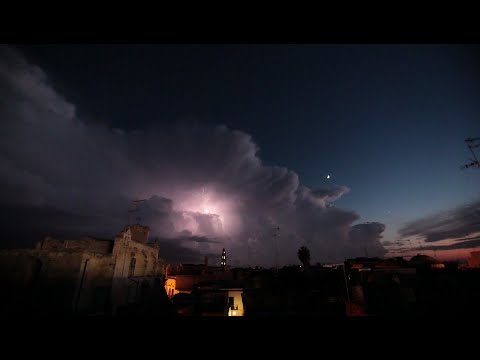 Andrea Falconieri - ECO / Luca Tarantino - archlute