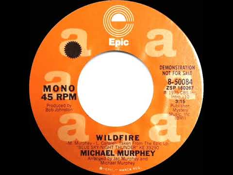 1975 Michael Murphey - Wildfire (mono radio promo 45)