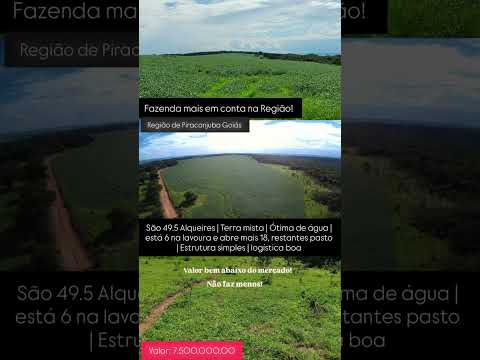 49.5 Alqueires em Piracanjuba GO / whatsapp 62 99373-6407