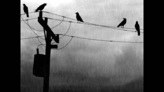 Stormwitch - Ravenlord (Bonustrack - Cover by Infinite Ascension).mp4