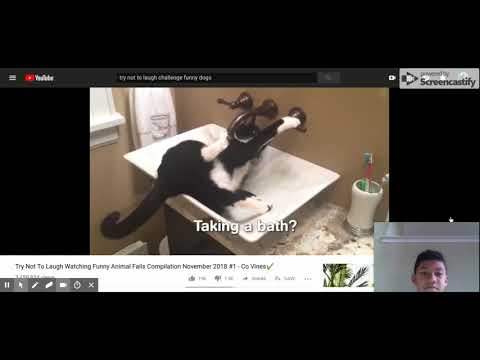 Try Not To Laugh Watching Funny Animal Fails Compilation November 2018 #1 - Co Vines✔