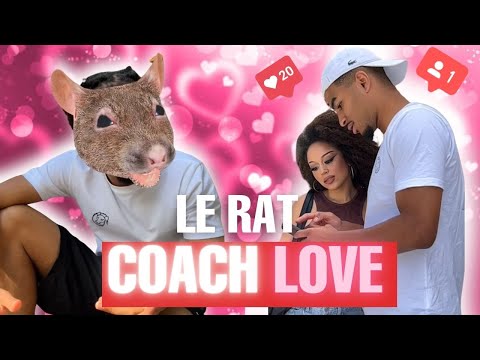 LE RAT COACH SÉDUCTION ?!