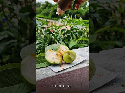 spicy guava fruit 😋 #ytshorts #yt #fruit