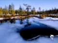 ПРЕМЬЕРА ПЕСНИ Яжевика - Город тает 