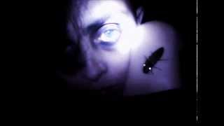 Escarlatina Obsessiva - Lightning Bug