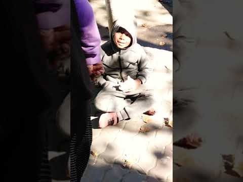 Cerșetorul din Bârlad