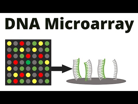 image-What is microarray and how does it work? 