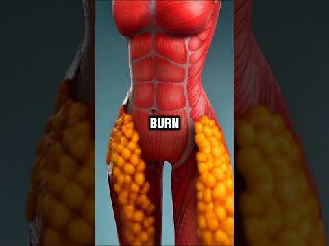 5 Foods that BURN belly fat fast