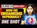 How Do Organisms Reproduce In One Shot FULL CHAPTER Warrior 2026 Class 10 Science Chapter 7