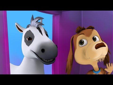 LITTLE WHITE HORSE -  MY CHOCOLO DOG - Nursery Rhymes And Children’s Songs