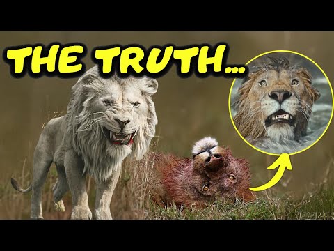This is How Mufasa's Father really Died