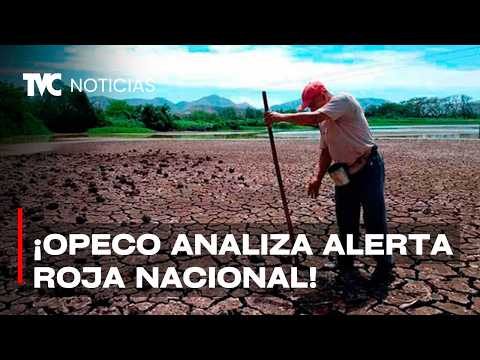COPECO evalúa elevar alertas ante sequía mientras lluvias alivian parcialmente a la capital
