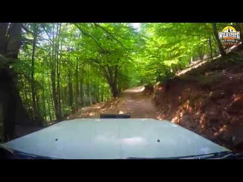 Wildstate - "Toboganul" of Ponorici Glade | Șureanu Mountains [HD]