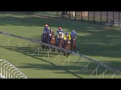 Hawwaam - Daily News 2000