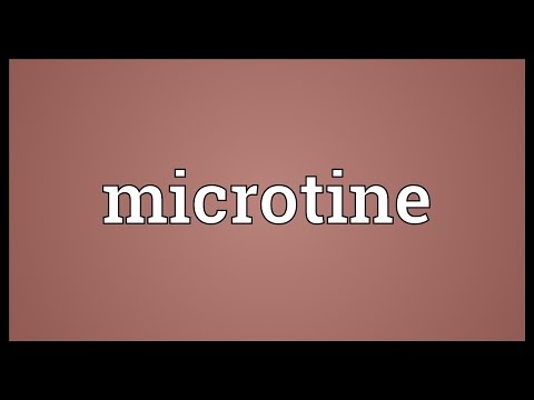 Microtine Meaning