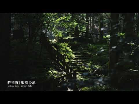 【福井の風景・若狭町】瓜割の滝