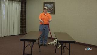 SDWR Training Go Through