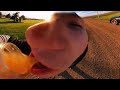 One Hour Of Memes But If You Laugh You Lose