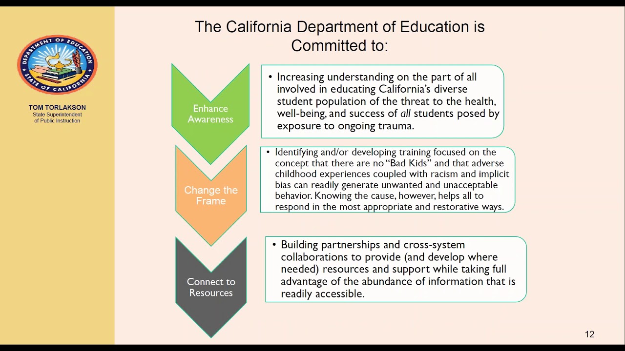 The Trauma, Health and Learning Connection in Schools Webinar