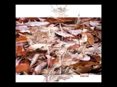 Marsen Jules - Fanes D'Automne - Ambient Modern Classical Biosphere Murcof Pete Namlook