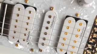 Chinese Ibanez Jem 7V Review HD