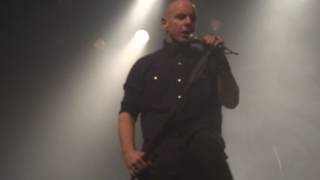 Judy | Headstones | Phoenix | December 15, 2016