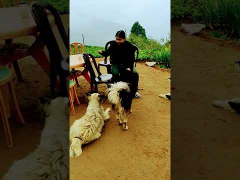 best friends💝💝💝💝💝