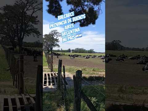 Tambo de Balcarce en la provincia de Buenos Aires, República Argentina