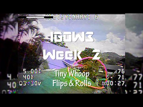 [IGOW3 Week 2] Tiny Whoop Flips & Rolls | Bisyonaryo (bi·shah·nɑr·yo)
