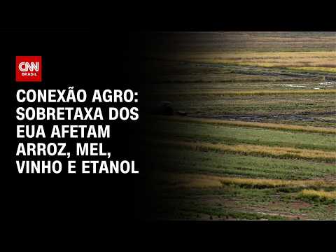 Sobretaxa dos EUA afetam arroz, mel, vinho e etanol | CNN NOVO DIA