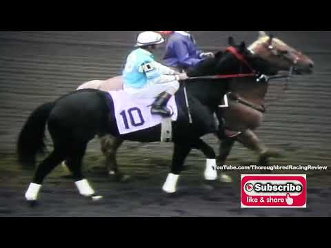 1991 FLORIDA DERBY SERIES   LEG ONE HUTCHESON STAKES