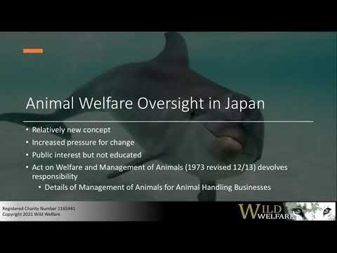 AfA Conference 2021 | Asia specific challenges and solutions - Wild animals