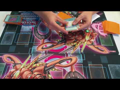 4th Place Fargo Regional - Dylan Tischer - Pure Zoodiac