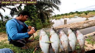 Download lagu Fishing!! Losing the competition with this angler, he was forced to retreat in an orderly manner ... mp3 Download lagu Fishing!! Losing the competition with this angler, he was forced to retreat in an orderly manner ... mp3