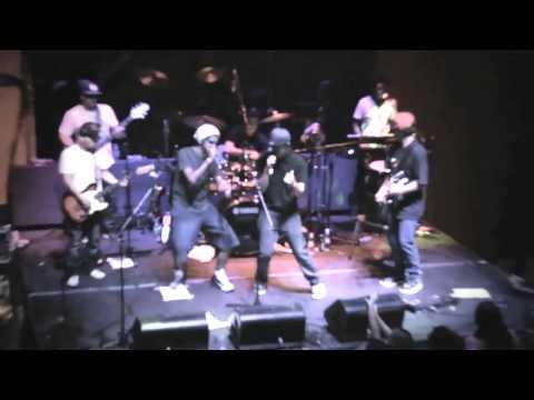 Planta & Raiz e Ale (Bloco do Caos) - O Ragga / Atual Situação