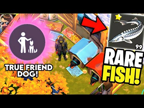 HOW TO GET RARE FISH TO GET A TRUE FRIEND DOG! | LDoE | Last Day on Earth: Survival
