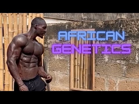 CRAZY AFRICAN GENETICS 🧬
