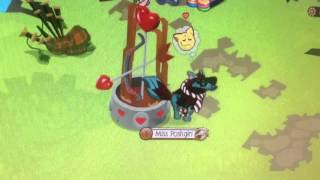 &quot;How To Get boyfriend AJMV