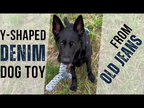 DIY Y-Shaped Denim Dog Toy - From Old Jeans!