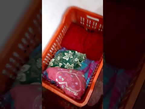 Cat Room Arrangement