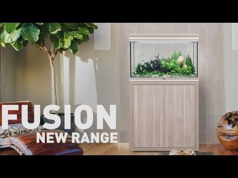 Watch Video on YouTube