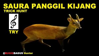 Download lagu Suara Panggil Kijang, Trick Hunt mp3 Download lagu Suara Panggil Kijang, Trick Hunt mp3