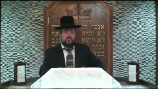 פרשת כי תצא – בן סורר ומורה