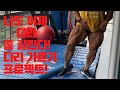 [하루운동] 다이어트 드디어 하루 두번 운동 잎다리 가자!