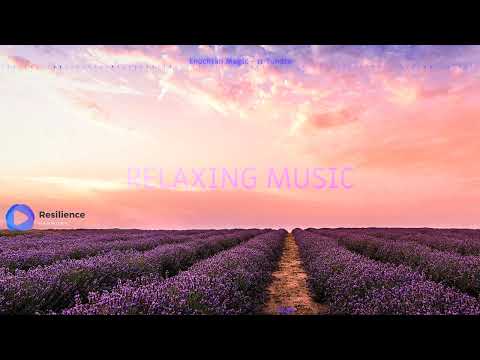 Enjoy Relaxing Music Anytime, Anywhere - Find Peace with Relaxing Music